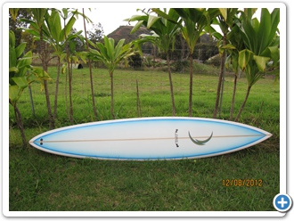 Full Guns 9'0 Pintail
