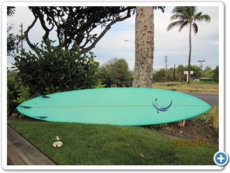 Full Guns 9'2 Pintail (2)